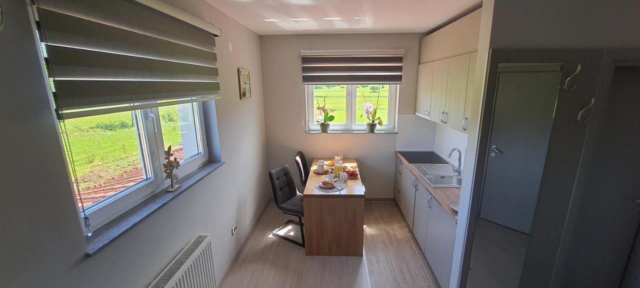 Apartmani Fenestra Tesla I Faust 오토칵 외부 사진