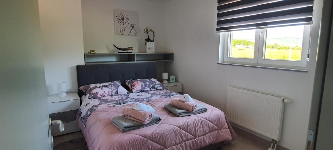 Apartmani Fenestra Tesla I Faust 오토칵 외부 사진