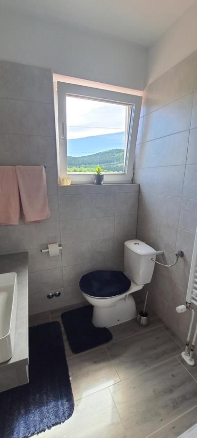 Apartmani Fenestra Tesla I Faust 오토칵 외부 사진