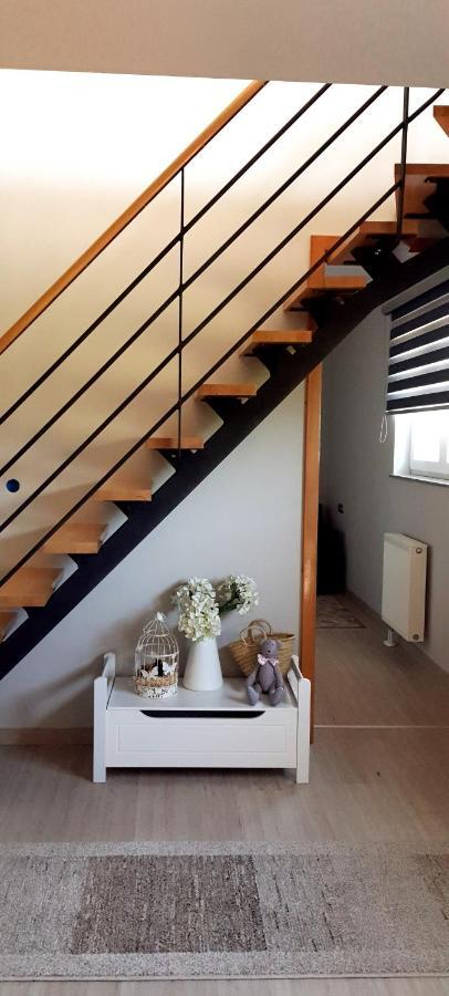 Apartmani Fenestra Tesla I Faust 오토칵 외부 사진